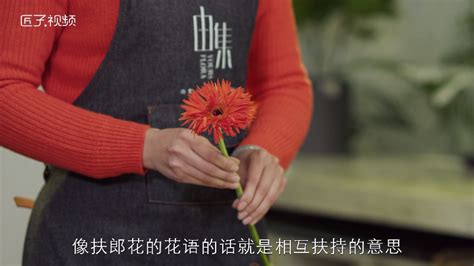 考研后送什么花