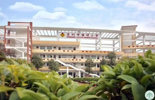 同升湖复读学校喜报