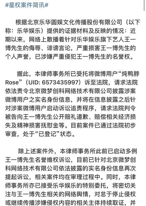 网络文学侵权责任纠纷案例