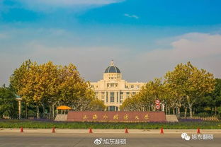 上海天河华文学院：介绍与建议