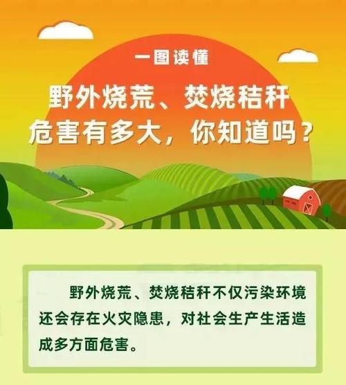 通过老师的详细讲解,孩子们知道了什么是秸秆以及焚烧秸秆的