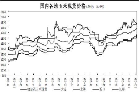 玉米价格何时涨价