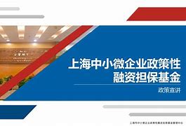 上海中小微企业政策性融资担保基金扩容助力企业发展的新里程碑