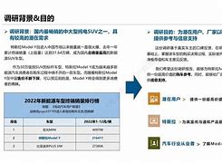 PEST分析特斯拉未来利润难见风险