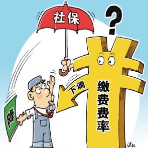 温网冠军克雷吉茨科娃的职业生涯大满贯冠军数是多少？