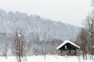 雪之梦，追寻音乐与冬日的和谐共鸣——探索雪之梦吉他的艺术魅力